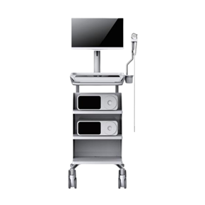 Endoscope trolley